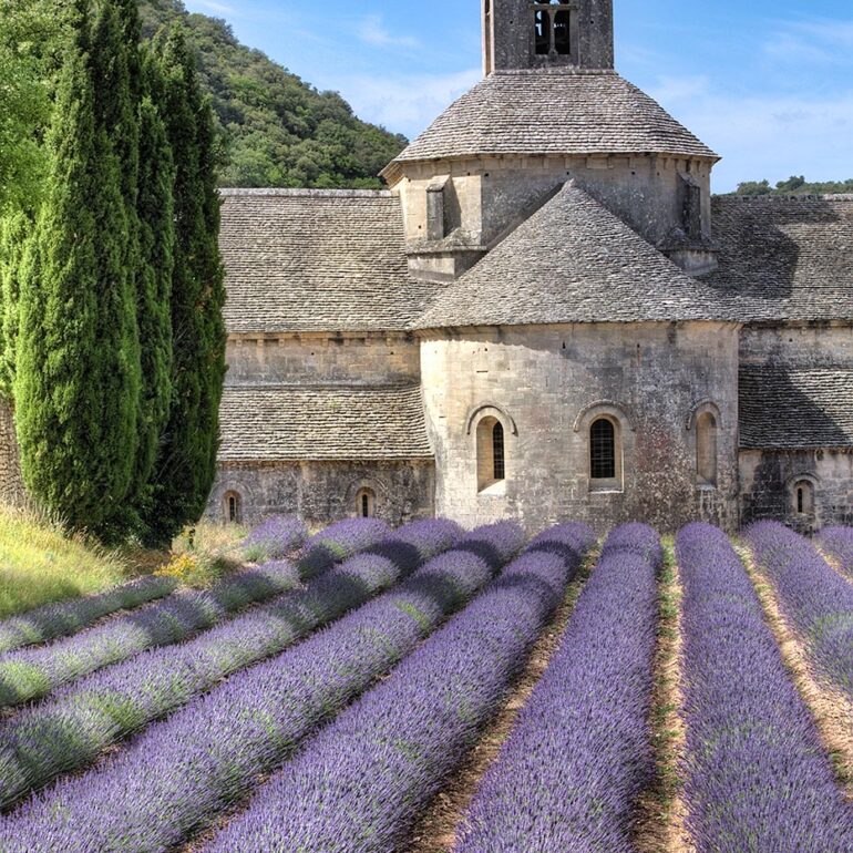 Rows of lavender in front of an abbey.