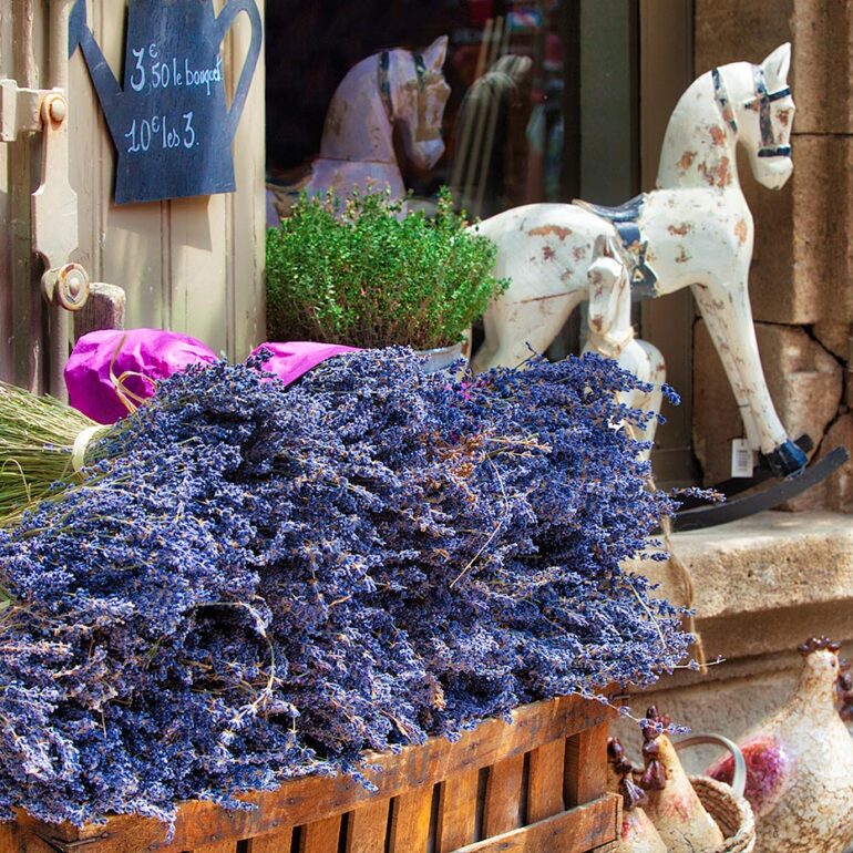 Cut lavender in a shop display.